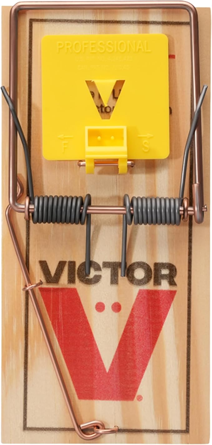 Victor M205 Wide Pedal Humane Snap Rat Traps Indoor for Home, Plastic Pedal, Sustainably Sourced FSC Wood - 12 Wooden Traps