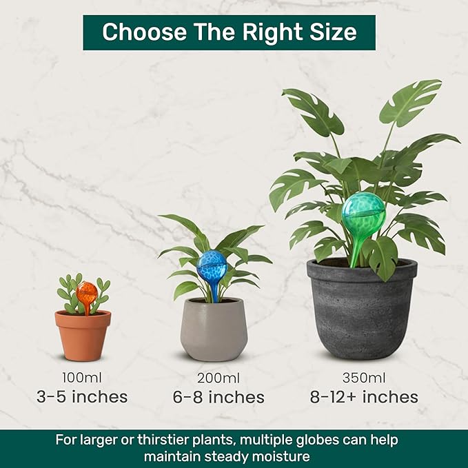 Little Green Leaf Automatic Plant Watering Globes Self Watering Planter Inserts (Set of 6) | Hands Free Clear Glass Bulbs | Planter Spikes to Support Indoor & Outdoor Plant Health (200ml)