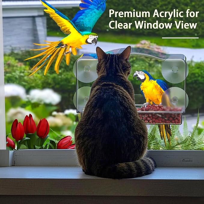 Window Bird Feeder Viewing Box - 10x6 Inches Clear Bird Feeder for Window with 4 Strong Suction Cups, 3 Compartment Trays, Birdfeeders Outside Hanging for Cardinal, Robin, Blue Jay
