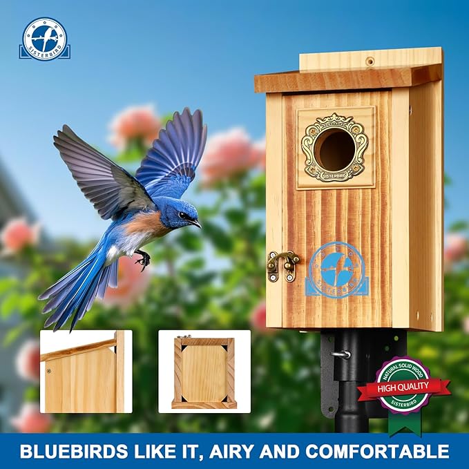 SISTERBIRD Preminum Bluebird Houses for Outside, Wooden Bluebird House, Birdhouses for Outdoors Courtyard, Festival Bird Nesting, Assembly Bird Box, Bluebird Finch Swallow Wren Chickadee