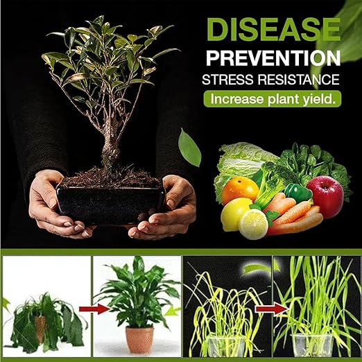 Yegbong Soil Activator, Soil Pro Activator, Nauticos SoilActivator, Organic, Water-Soluble Formula for Optimal Nutrient Uptake & Root Development, Enhance Growth for Vegetables & All Plants (2)