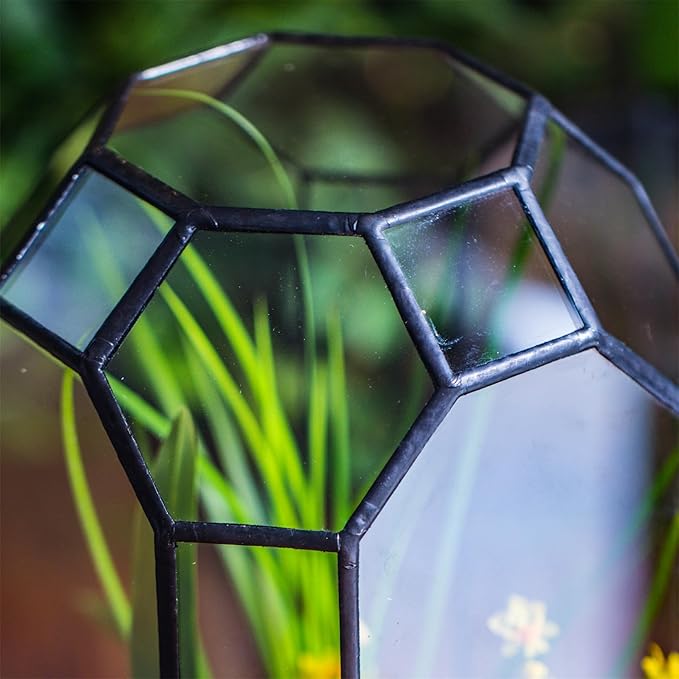 NCYP No Door Glass Geometric Terrarium for Plant, Succulent, Cacti - 5.5"x5.5"x12.8" Indoor Tall Octagon Glass Planter, Home Garden Office Decoration, Micro Landscape (Terrarium Only)