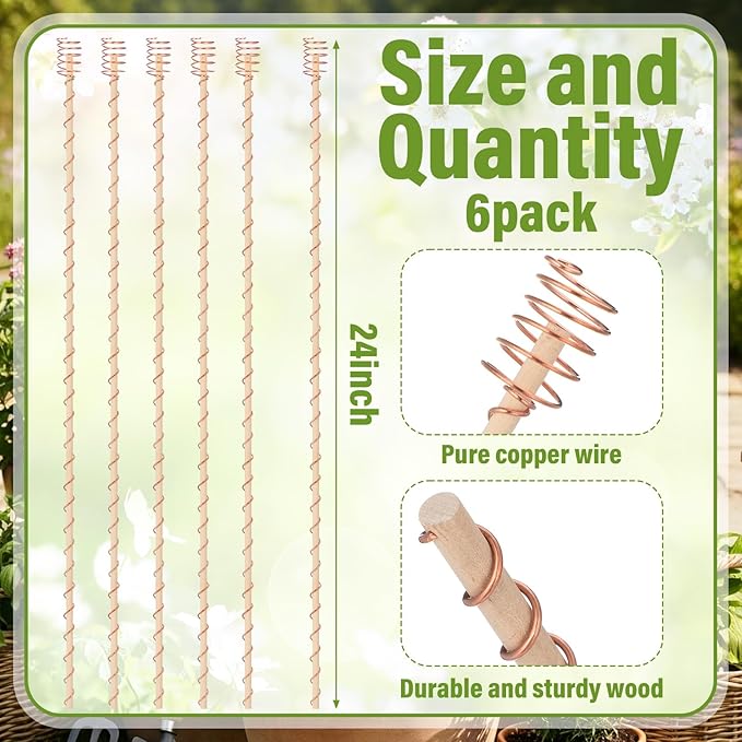 Pelopy 6 Pcs 24'' Large Electroculture Plant Stakes Copper Coil Plant Stakes for Garden Wire Antennas Garden Tensor Rings Kit Electronic Planting for Growing Vegetable Plants Support