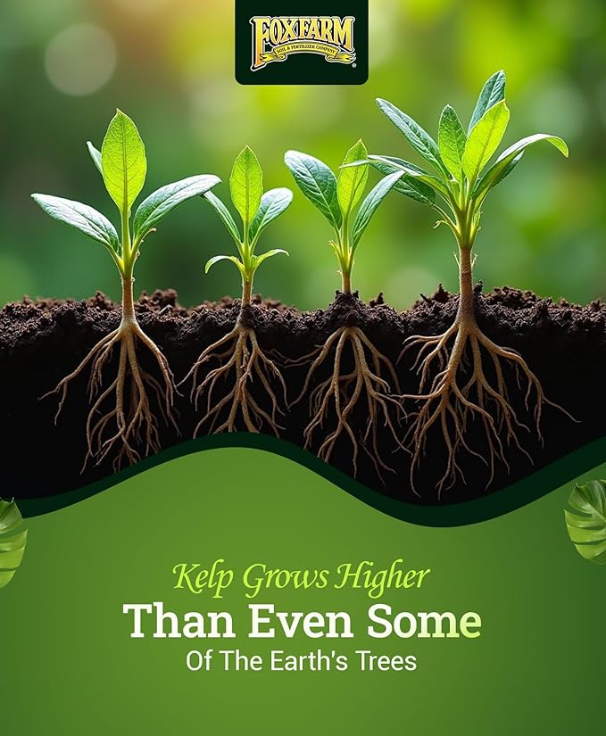 FoxFarm Bush Doctor Kelp Me Kelp You Seaweed Plant Food - 0.5-0-0.5 Liquid Kelp Fertilizer for Gardens, Hydroponic & Drip Irrigation Systems - Nutrient Uptake & Plant Growth - 1 Quart