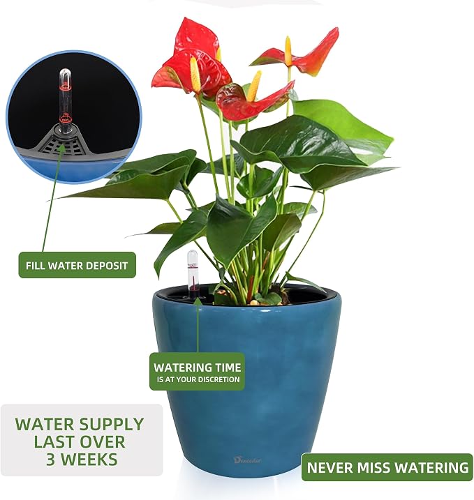 Dexceder 9x8 Self Watering Planter (Peacock Blue Gradient) | Inner Pot Design, Thickened Table Flower Plant Pot with Water Level Indicator Indoor Outdoor