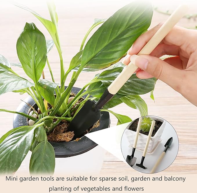 3Pcs Mini Gardening Tool Set with Wooden Handles Includes Small Hand Rake and Spade Ideal for Bonsai and Potted Plants Care