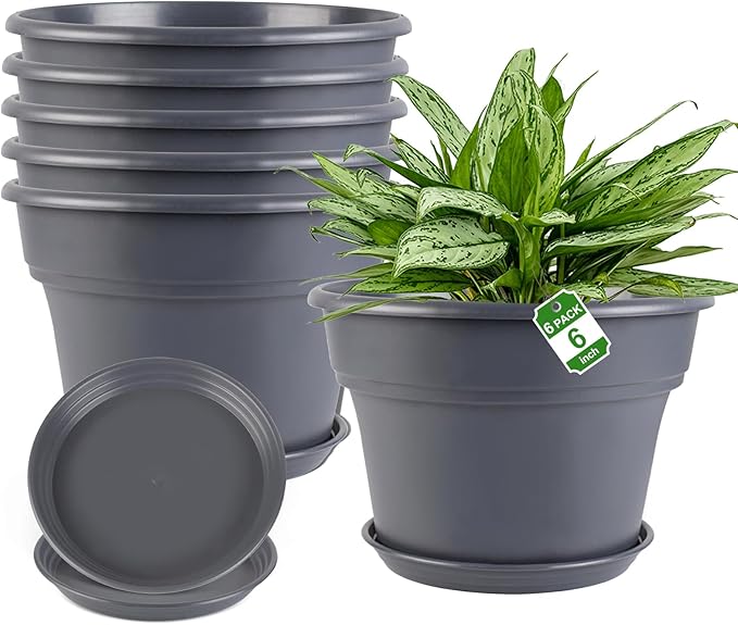 Myfeegoin 6-inch-Plant-Pots-Indoor-Outdoor, 6 Pack Plastic Planters with Drainage Holes & Saucers, Resin Flower Pots with Trays, Classic Garden Pot Container for House