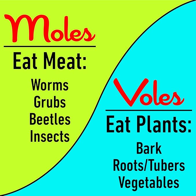 I Must Garden Mole & Vole Repellent: Professional Strength – Twice The Coverage – All Natural Ingredients – 4 lb. Shaker Jar