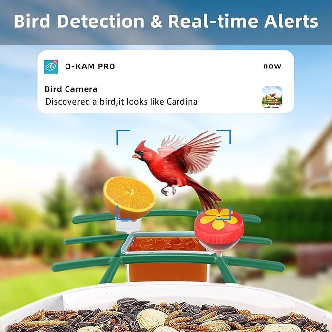 Uniter® 2.5K Smart Bird Feeder with Camera, 5G &2.4G WiFi, Solar Video Birds Feeder with AI Identify Birds Species, Live View, Capture Bird Video, Instant Arrival Alerts, Ideal Gift for Mother's Day