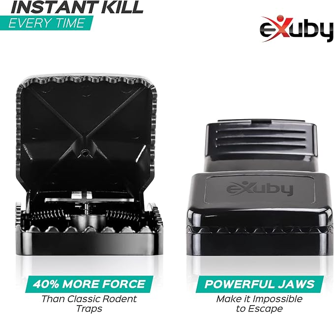 eXuby Large Powerful Rat Traps - Kills Instantly with Powerful Steel Spring - Setup in Seconds - Wash & Reuse Over & Over - Hands Free Disposal - Rat Control Without Harmful Poisons (4)
