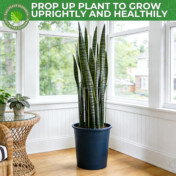 LEOBRO 12PCS Plant Supports, 24 Inch Peony Cages and Supports, Garden Plant Stakes for Indoor Plants, Outdoor Plants, Peony Tomato Monstera Hydrangea Stakes, 10" W x 24" H