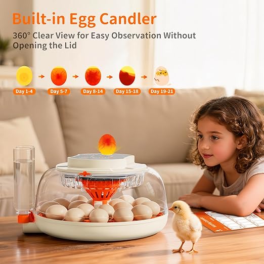 APDOE Egg Incubators for Hatching Eggs, Temperature and Humidity Control, Automatic Egg Turning, Egg Candler, External Water Bottle, Air Vent, for Chicken, Duck & Quail Eggs, 18 Eggs