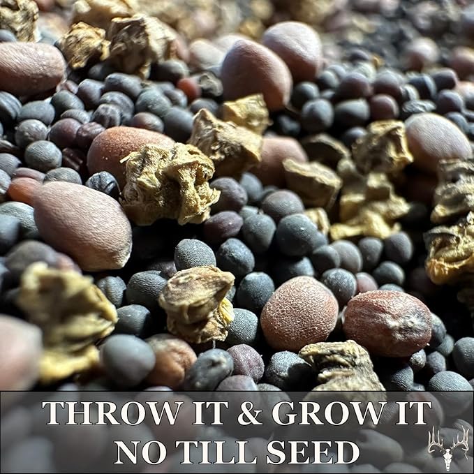 Crooked Bend, Big Bulbs, Bulk Fall Food Plot Seed Mix for Whitetail Deer & Wild Turkey, No Till & No Plow, Throw & Grow Radish, Turnip & Sugar Beet Seeds