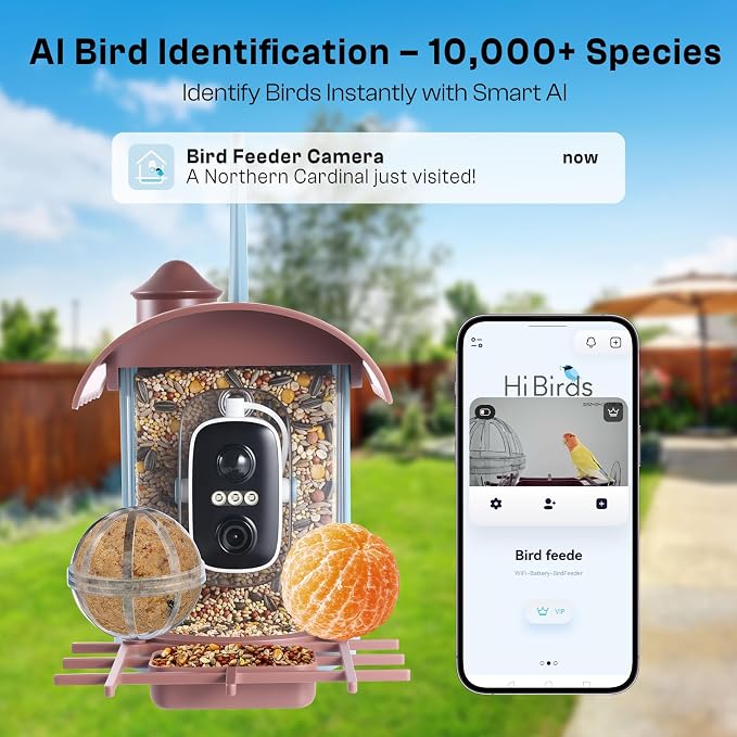 Smart Bird Feeder with Camera - AI Identify 10000+ Bird Species, Solar Powered Bird House with 1080P Color Night Vision, Auto Capture Bird Videos, Wireless Outdoor Camera, Ideal Gift for Nature Lover