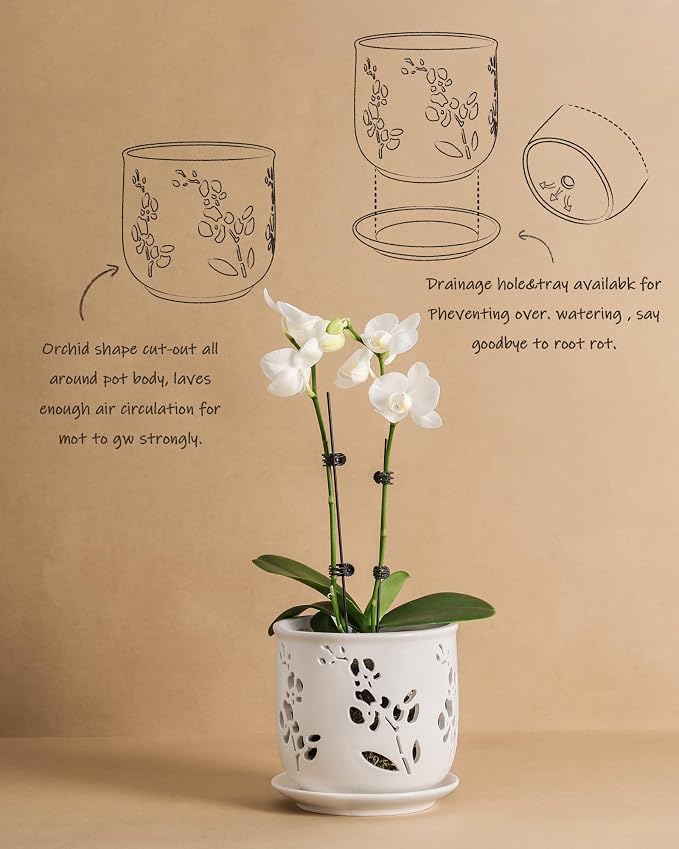 Fayoula Orchid Pots 6.5 Inch Large with Drainage Holes Ensuring Healthy Growth & Easy Repotting, Premium Ceramic for Indoor and Outdoor, Perfect Home Thriving Orchids。