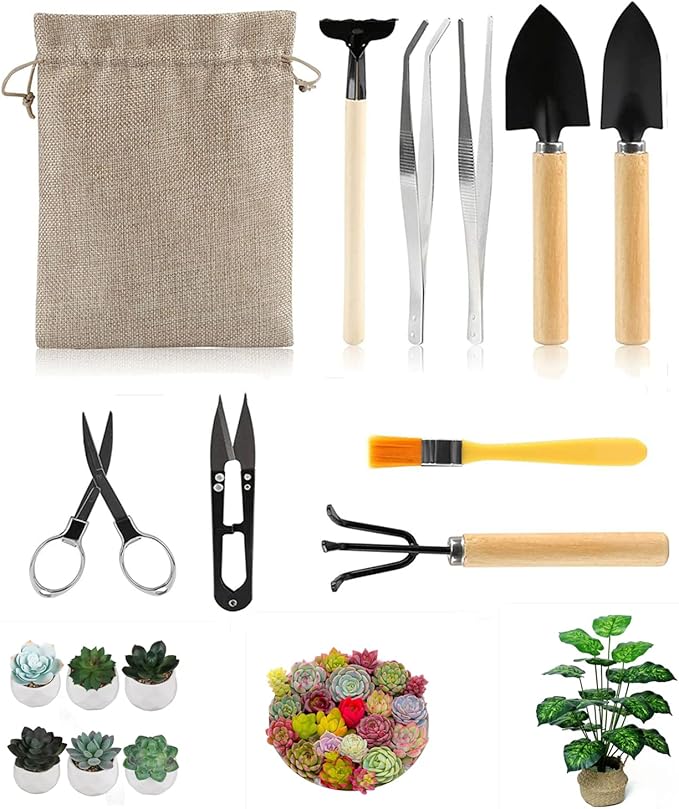 10 Piece Set of Garden Potted Tools Mini Garden Tool Set for Miniature Succulent Bonsai Cactus Planting Transplant Gardening Hand Tools