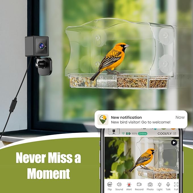 Waterproof Smart Bird Feeder Camera with AI ID, 2K HD Glare-Free Video. All-Weather Outdoor Window Mount. Unique Gifts for Elderly Parents, Kids, Birding Lovers & Gardeners