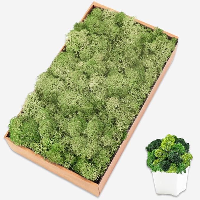Preserved Moss for Crafts Chartreuse Reindeer Moss for Potted Plants, Craft Decorative Moss Decor for Wall Art, Dried Moss(7oz, Chartreuse)