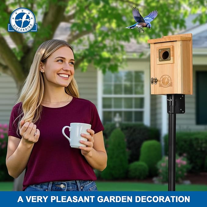 SISTERBIRD Bird Houses for Outside Clearance with Copper Guard, Cedar Bird House Outdoor, Bluebird Finch Swallow Wren Chickadee