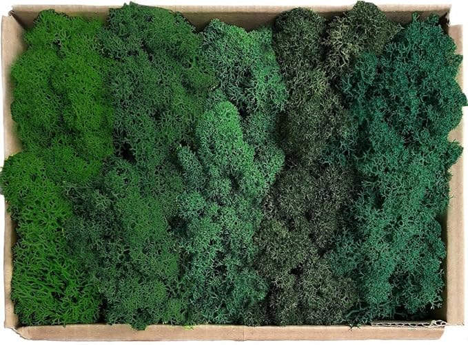 Preserved Reindeer Moss Natural Green DIY Kit Gardenning Art Wall Decor Florist Decor Easter Table Decor Wedding