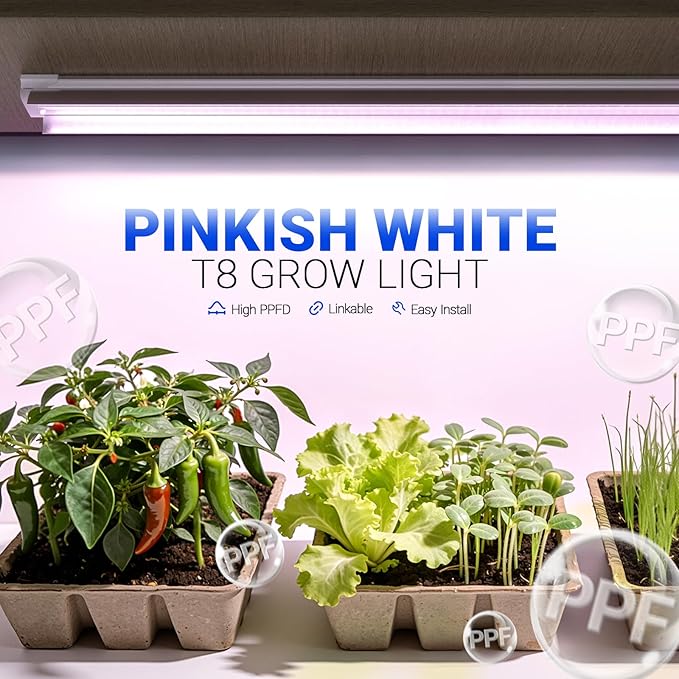 Barrina LED Grow Lights, Full Spectrum, 180W(6 x 30W, 1000W Equivalent), 3ft Grow Light Strips, T8 Grow Light Bulbs, Plant Lights for Indoor Plants, Greenhouse, Pinkish White, Linkable Design, 6-Pack