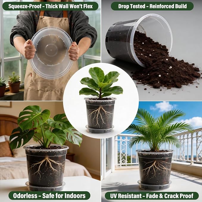 BTPLASTIK 3 Gallon Clear Nursery Pots with Saucers 5P, 10 Inch Round Plastic Plant Pots with Drainage Holes