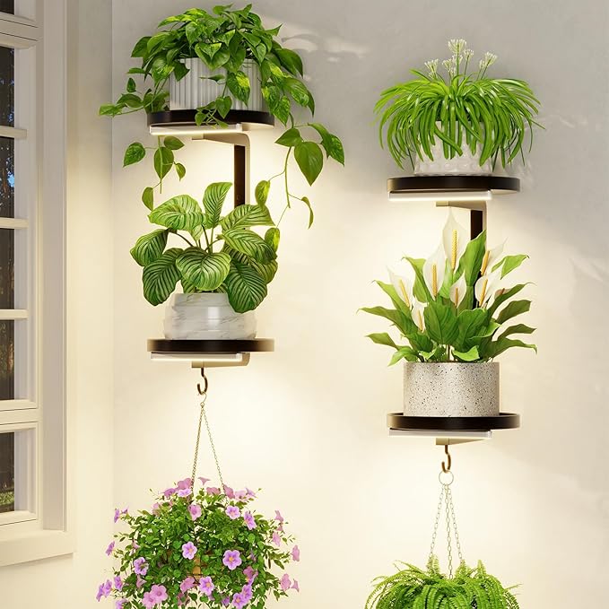 LASZOLA Plant Hangers Shelves Wall Mounted Indoor with Grow Lights, Metal Window Plant Holders, 2Pcs Modern Floating Flower Display Stand with 2 Hooks for Outdoor Kitchen Bathroom Decor, Dark Grey