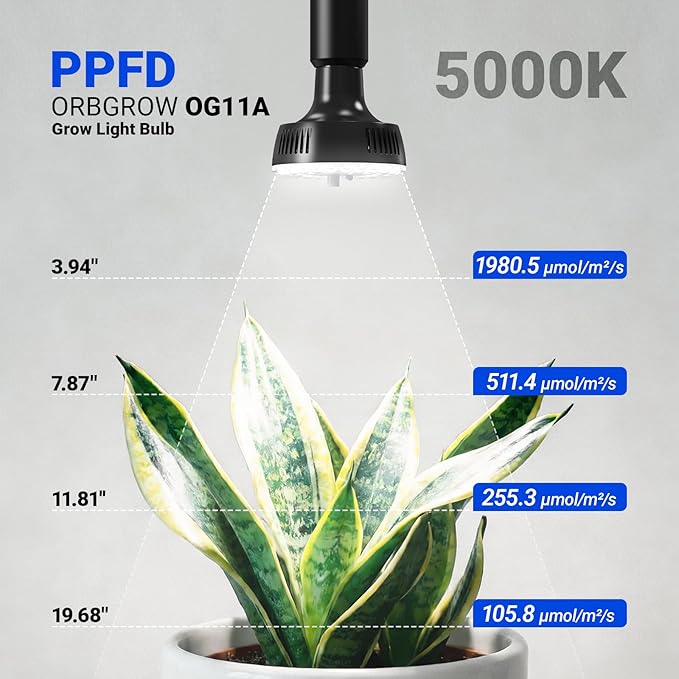 Barrina Orbgrow OG11A Grow Light Bulbs for Indoor Plants, Integrated Dimming & Timing, 5000K 22W(2 x 11W, 200 Watt Equiv), E26 Plant Light Bulb, Full Spectrum for Seeds and Greens, 2 Packs, Black