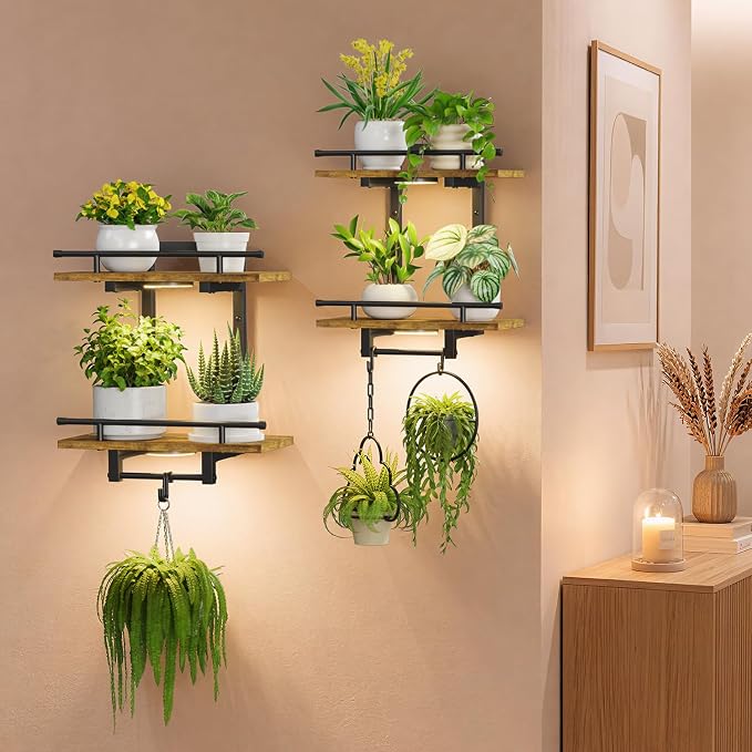 iDavosic.ly Wall Plant Holder with Grow Lights Set of 2, 2 Tier Indoor Floating Shelves with 4 Hooks for Hanging Plants, Wall Mounted Space Saving Display Stand (Pots/Chains Not Included)