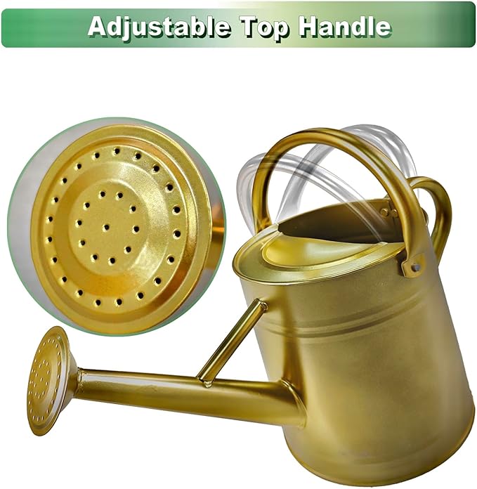 Watering Can for Outdoor&Indoor Plants，1 Gallon Metal Watering Can with with Removable Spout，Galvanized Steel Garden Flower Water Can Plant Watering Pot with 2 Handles，Gold