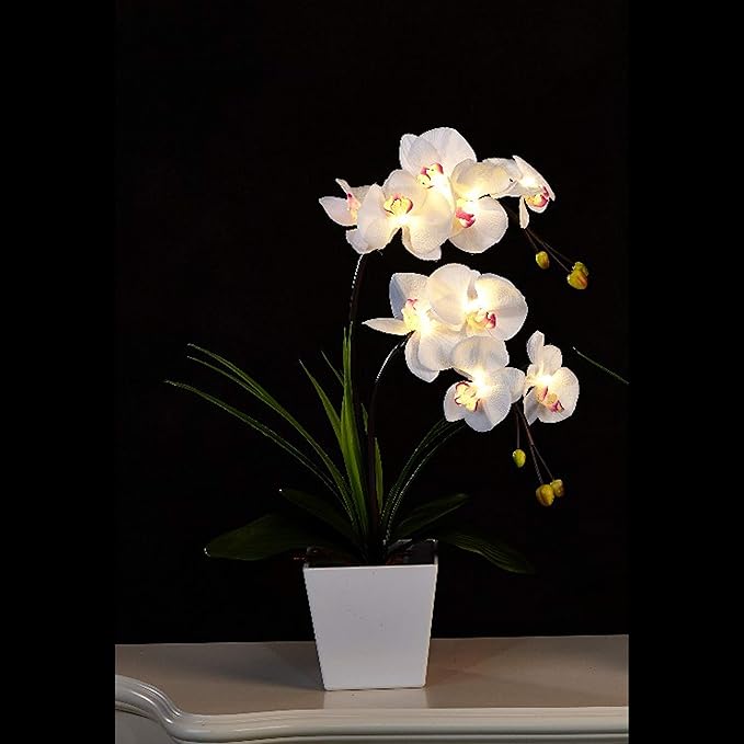 2AA LED Lighted Artificial Orchid Arrangement-Battery Operated Orchid Pot with 9 Lights (White)