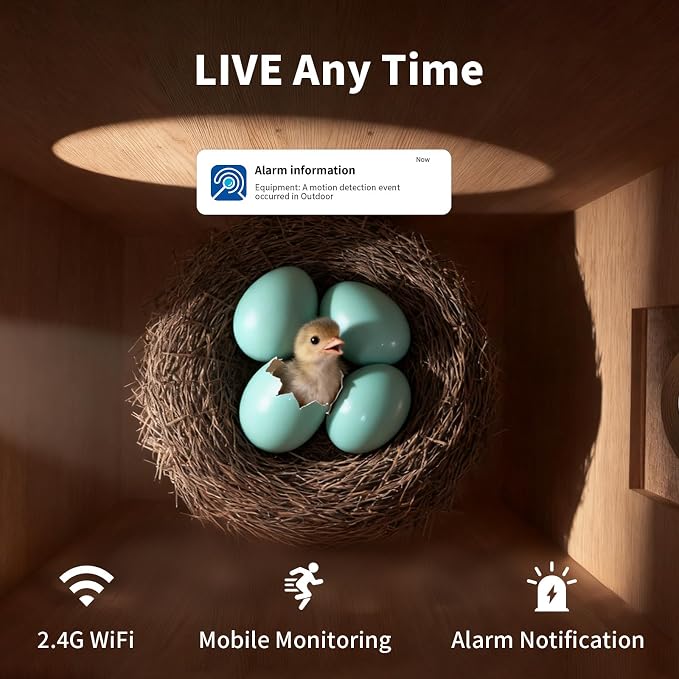 Bird Houses for Outside with Camera Solar Powered: 2K HD Video Smart Bird Feeder for Outdoors Nesting Box with Motion Detection Weatherproof Easy Birdwatching for for BirdLovers