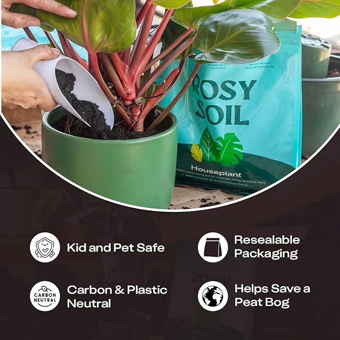 Rosy Soil Indoor Potting Soil for House Plants - Organic Potting Soil Mix for Indoor Plants - Enriched w/Root-Boosting Biochar for Foliage Plants, Flowers, Herbs - Peat Free, Less Prone to Gnats - 8qt