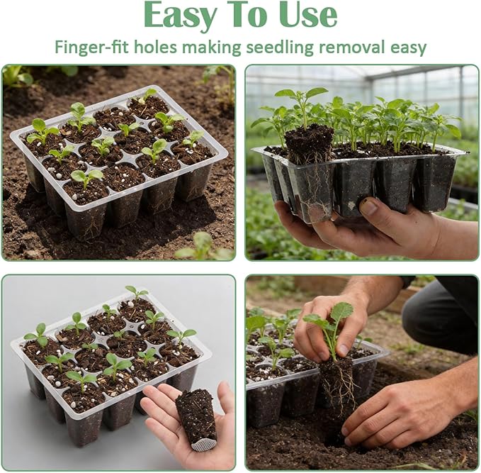 RooTrimmer 40 Pack Reusable 12-Cell Clear Seed Starter Trays - Extra Large Drainage Holes, Easy to Repotted, Clear Transparent Tray for Root Observation, Seed Starting, Fits 1020 Flats and TD377 Trays