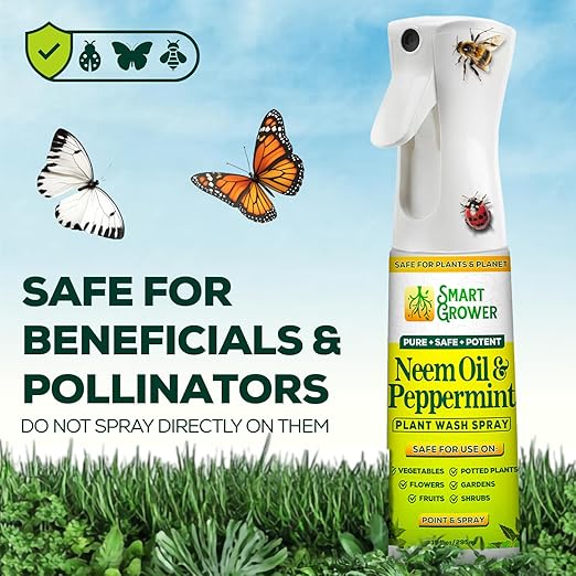 Neem Oil Spray for Plants with Peppermint Oil, Natural Plant Wash Made for Indoor and Outdoor Plants Smart Grower 10oz Easy Ready-to-Use Fine-Mist Premium Sprayer