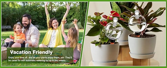 DI QIU REN 19oz Extra Large Self Watering Globes, Automatic Plant Waterer with Glass Stopper - Slow Release Watering Bulbs & Planter Insert, Top-Fill Water Spikes Stakes for Indoor Plants (4, Clear)