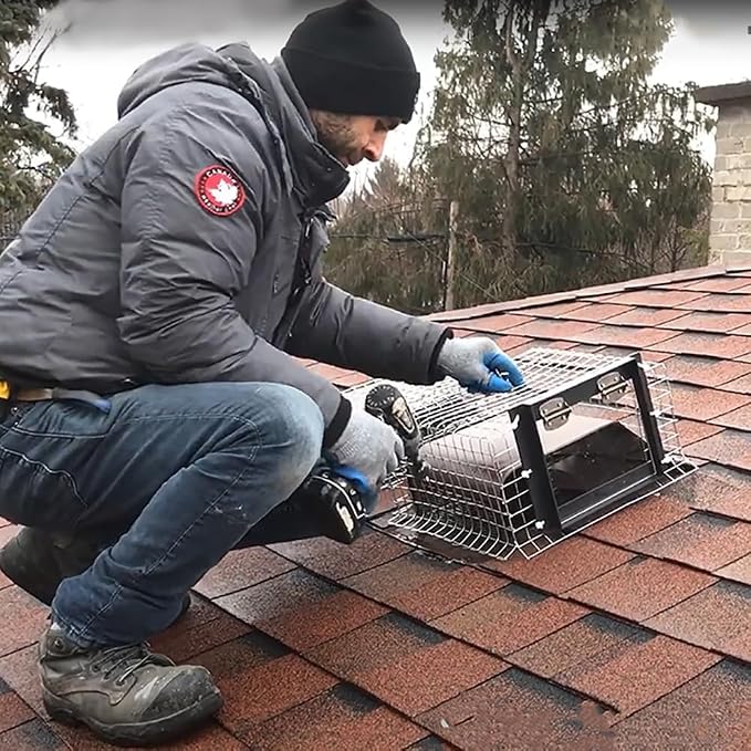 Raccoon One Way Eviction Door - Raccoon Trap Contactless Excluder for Outdoor Spaces Like Attics, Chimneys & Under Decks. Fast Results, Easy DIY Installation Large