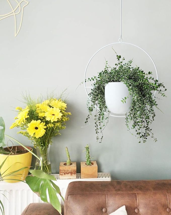 Hanging Planter Indoor Modern Boho Plant Pot Metal Wall and Ceiling Plant Holder, Mid Century Minimalist Flower Pot for Hanging Plants(White)