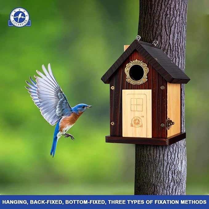SISTERBIRD Bluebird House, Premium Bird Houses for Outside, Wooden Cabin Blue Bird Houses for Outdoors, Courtyard Decorated Hanging Bird House