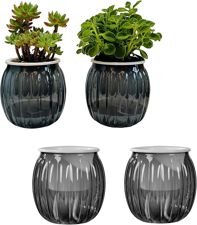 Cornasee 4" Pumpkin Planter Self Watering Pot, 4-Pack Small Plastic Planters for Indoor Plants,Flowers,Succulent,African Violets (Black, 4")