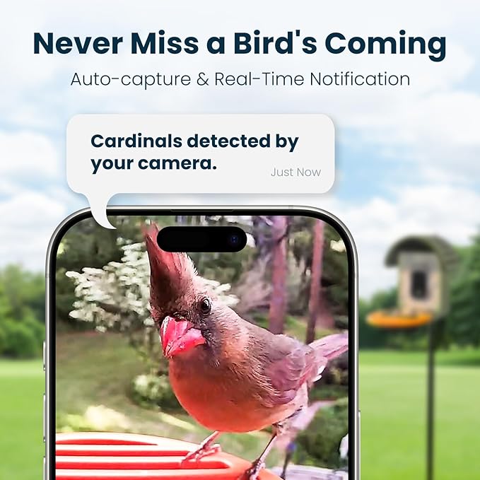 Smart Bird Feeder with Camera, 2.5K UHD Bird Feeder Camera Solar Powerd, Sensitive AI Identification, Instant Alerts Capture Video, IP66 Waterproof for Outdoor, Ideal Gift for Mom, Green