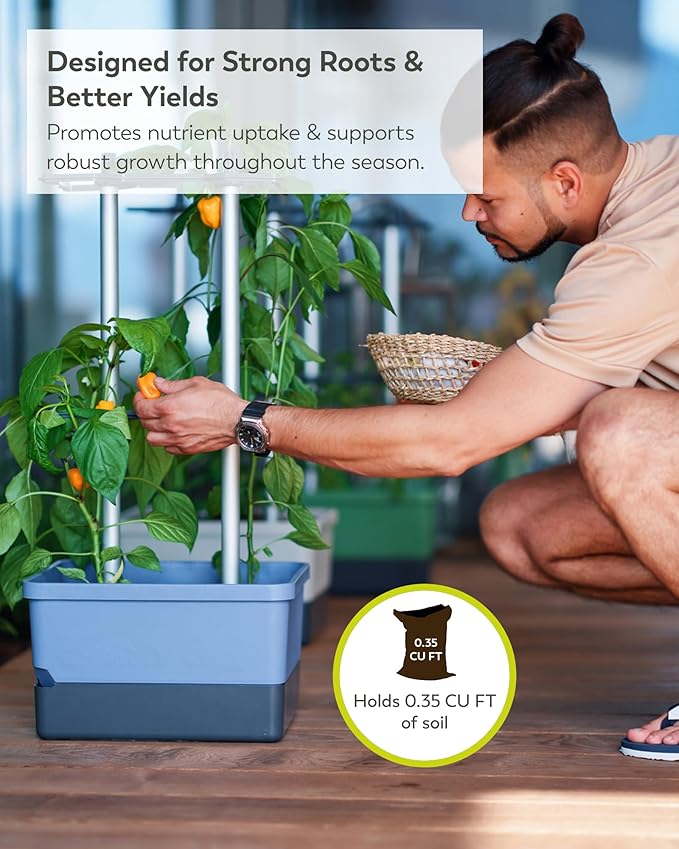 BUZZY Seeds Charly Chili Self-Watering Planter with Vertical Trellis – 1.2 Gal Reservoir, Large Capacity Planter for Chili Peppers, Bell Peppers & Eggplants (Blue)