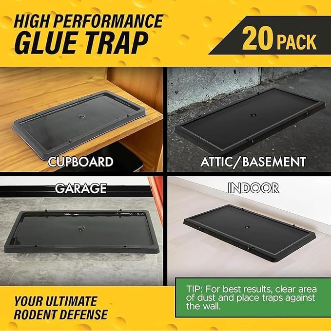 TRATPER Glue Traps for Mice,Rat,Mouse,Snake,Lizard,Insect. 20 Pack. Extra Strength,Pre-Baited Adhesive.Heavy Duty Plastic Tray.Non-Toxic,Chemical-Free Pest Control for Home. 20Pack