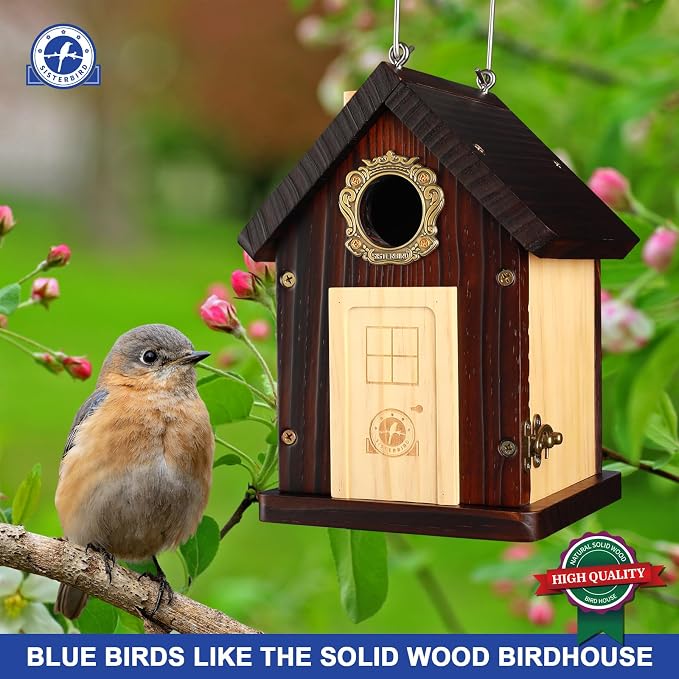 SISTERBIRD Pack of 2 Premium Bluebird Houses for Outside, All Seaons Bird Houses for Outside, Wooden Cabin Birdhouses for Outdoors, Weatherproof Courtyard Decorated Hanging Bird House