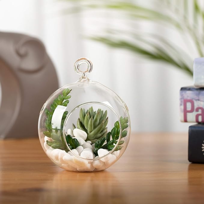 WGV Hanging Terrarium Globe, Width 4", Height 4.75", DIY Air Succulent Planter, Clear Glass Vase Orb with Flat Bottom, Candle Holder for Windowsill Outdoor Garden Decor, 6 Pieces Bulk