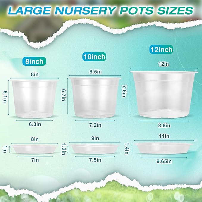 8 Inch Clear Nursery Pots with Drainage and Sacuers, 8 Pack Plastic Pots for Plants Indoor Outdoor, Large Clear Pots for Flowers, Succulents (8inx8pcs)