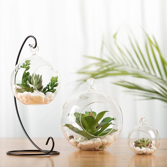 WGV Hanging Terrarium Globe, Width 2.5", Height 3", DIY Air Succulent Planter, Clear Glass Vase Orb with Flat Bottom, Candle Holder for Windowsill Outdoor Garden Decor, 24 Pieces Bulk