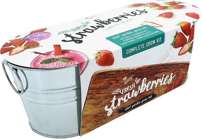 BUZZY Seeds 2-Pack Windowsill Grow Kits, Strawberry and Organic Herb Gardening Set with Basil, Cilantro, Chives, Non-GMO Seeds, Growing Medium and Planters, Housewarming Gift Idea