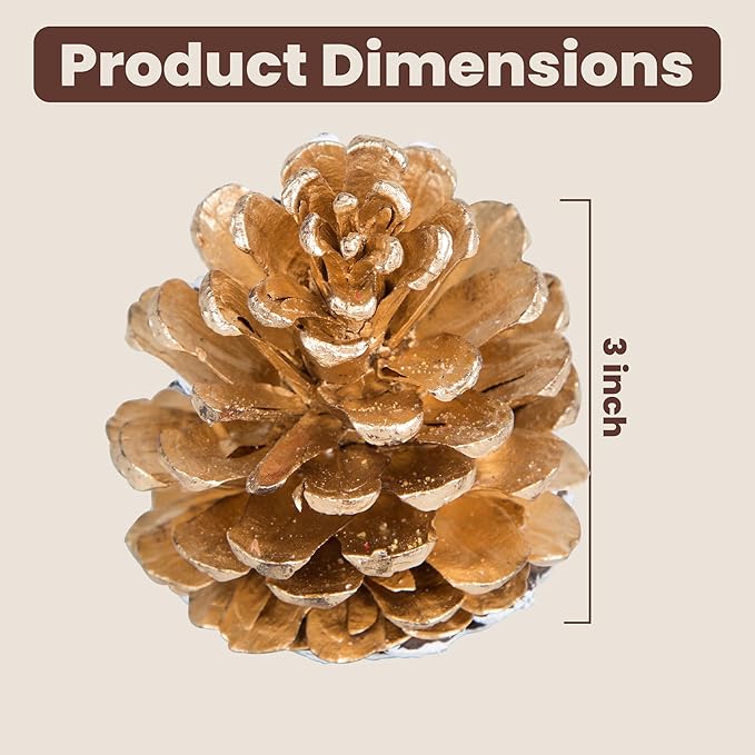 Natural Austriaca Pine Cones for Crafts - 2-3 Inch Real Pinecones for Christmas Decorating Ornaments, Holiday Decor Vase Filler - Rustic Woodland Dried Pine Cones - Set of 24 – GOLD PAINTED