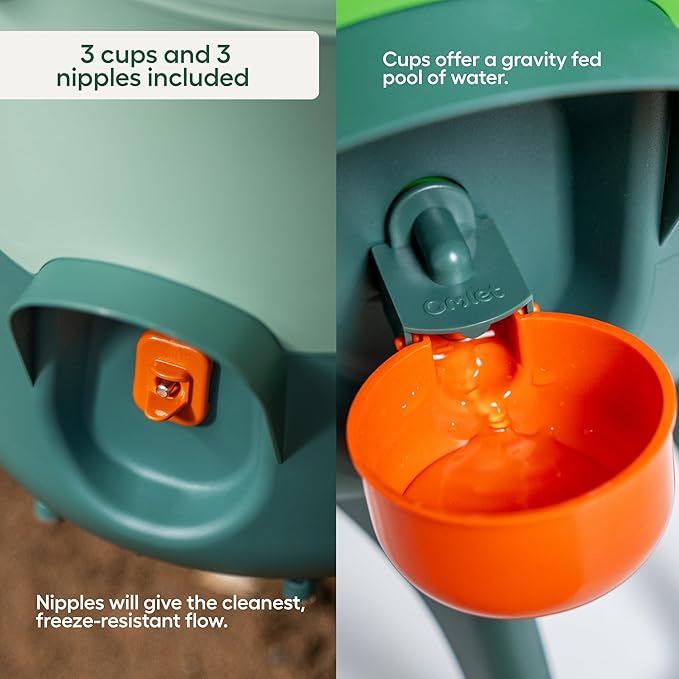 Omlet Insulated Chicken Waterer, 1.5 Gallon | Stay-Clean Automatic Water Dispenser for Chickens | BPA-Free | Anti-Roost Domed Lid | Includes 3 Cups & Nipples | Sage Green